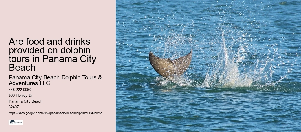 Are food and drinks provided on dolphin tours in Panama City Beach