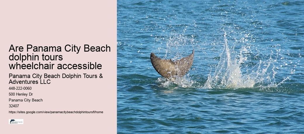 Are Panama City Beach dolphin tours wheelchair accessible