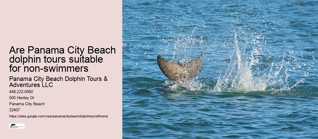 Are Panama City Beach dolphin tours suitable for non-swimmers