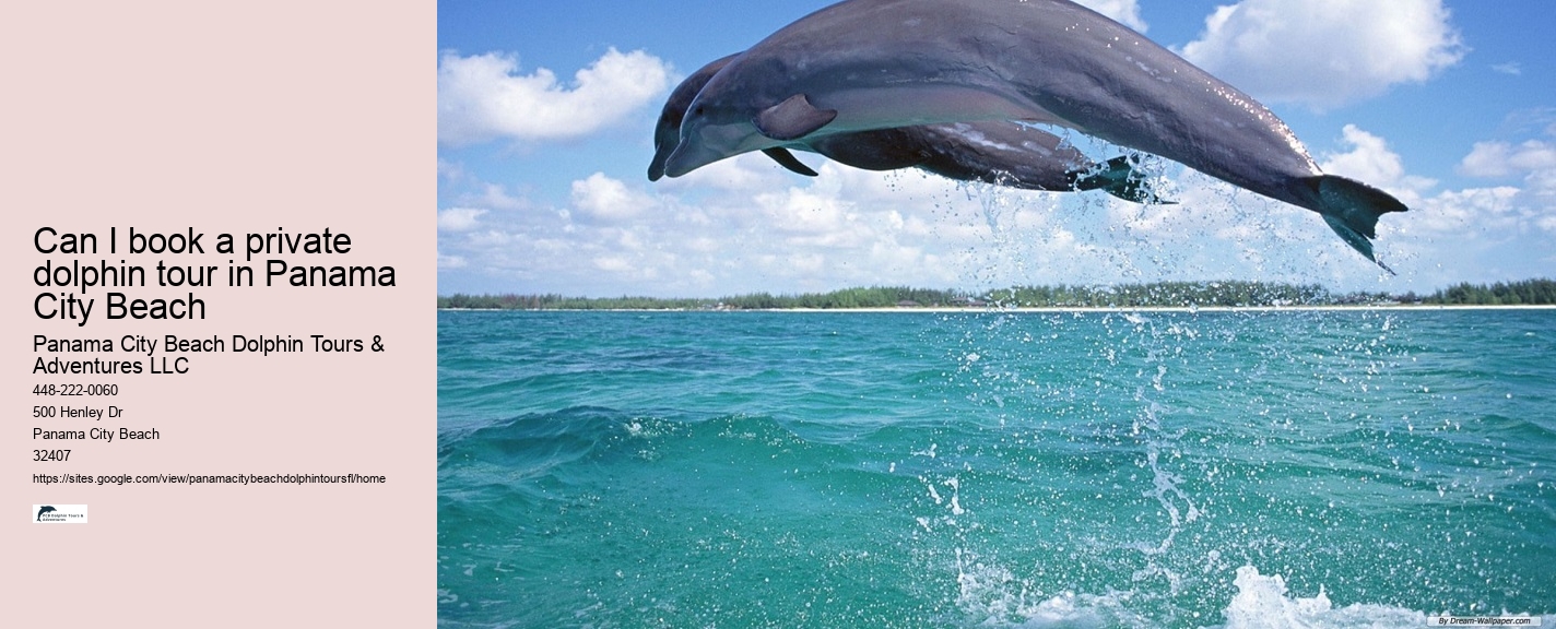 Panama City Beach Sunset Dolphin Cruise