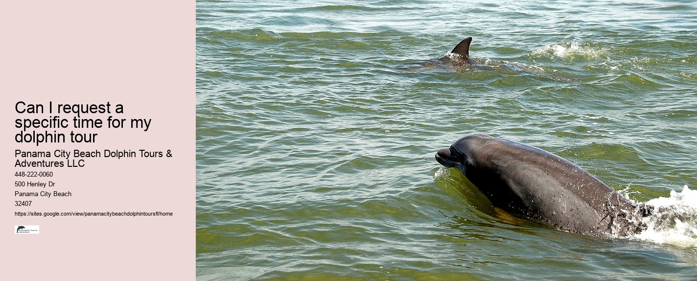 Panama City Beach Private Dolphin Tours