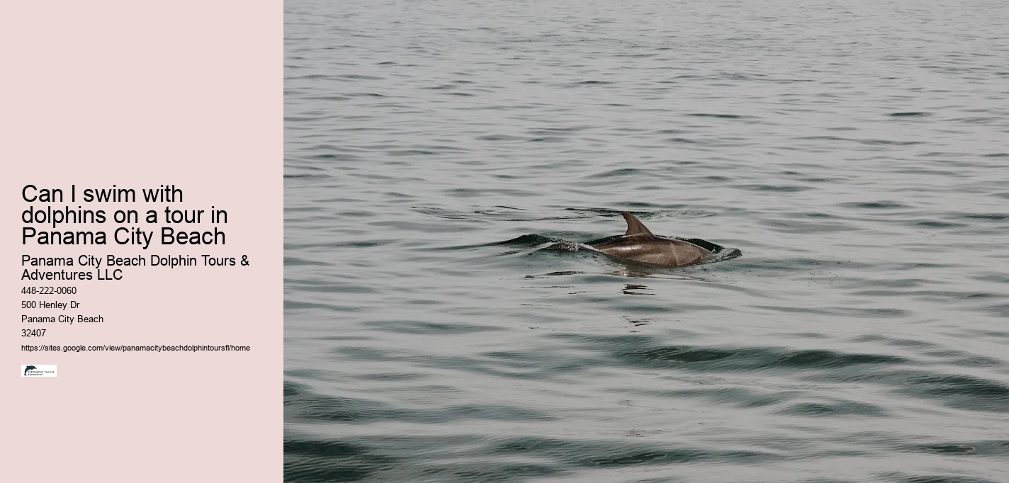 Can I swim with dolphins on a tour in Panama City Beach