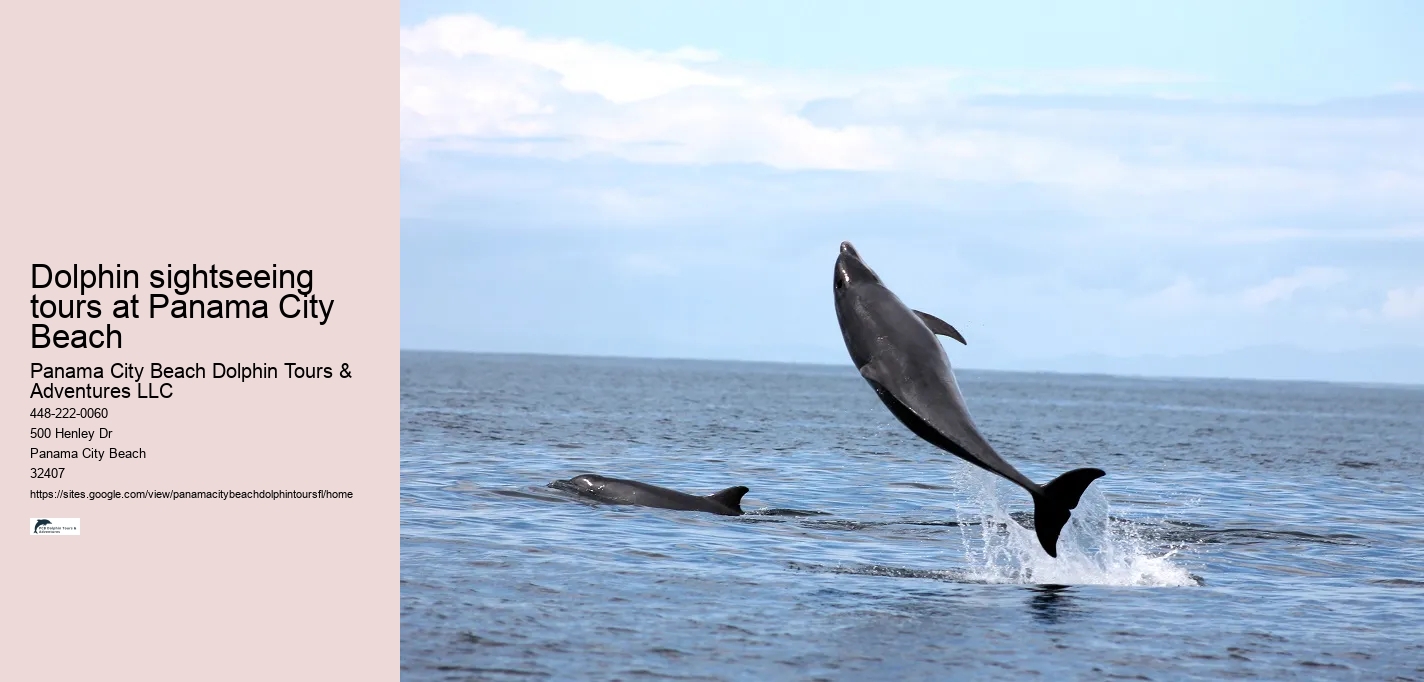 Dolphin sightseeing tours at Panama City Beach