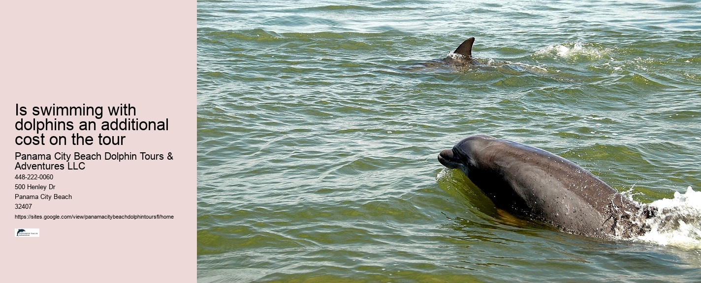 Panama City Beach Boat Tours To Shell Island