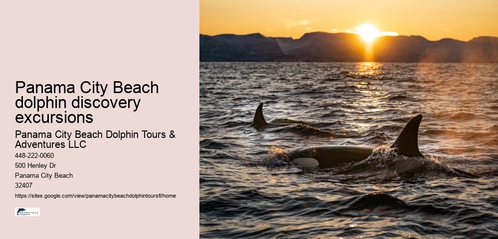 Panama City Beach dolphin discovery excursions