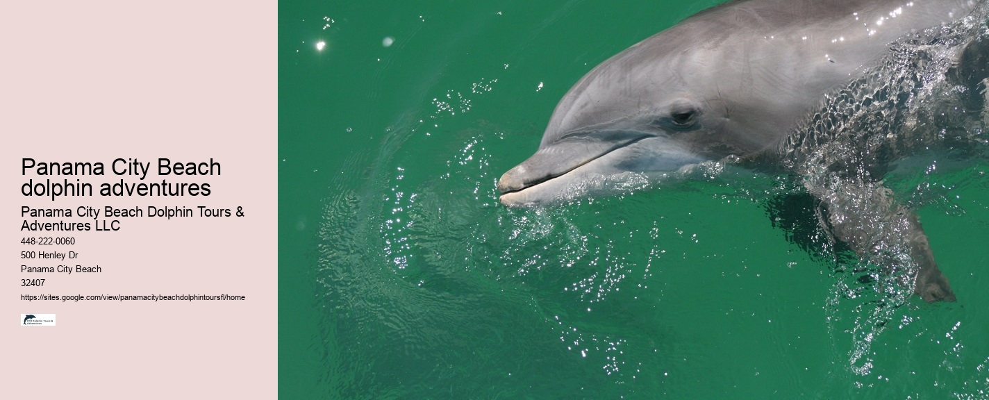 Are Panama City Beach dolphin tours suitable for non-swimmers