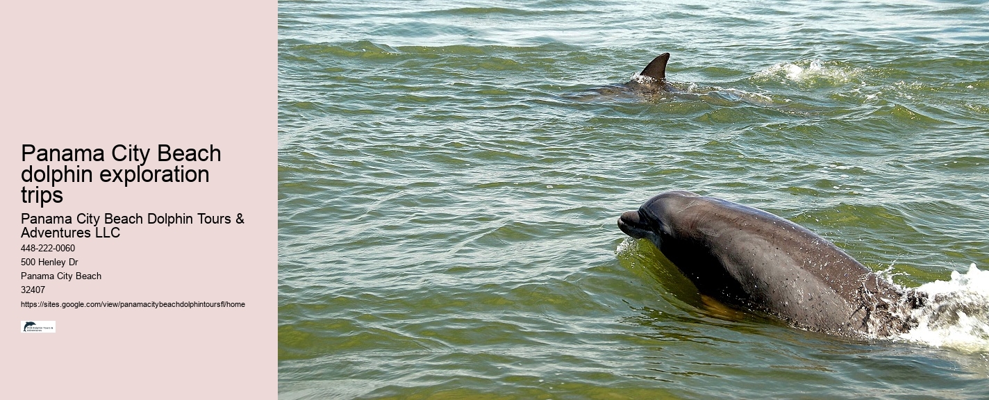 Are dolphin tours in Panama City Beach narrated by guides