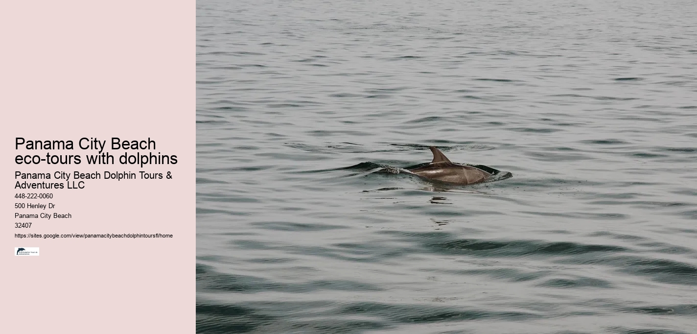 Panama City Beach eco-tours with dolphins