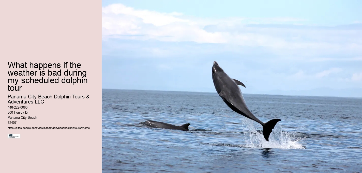 What happens if the weather is bad during my scheduled dolphin tour