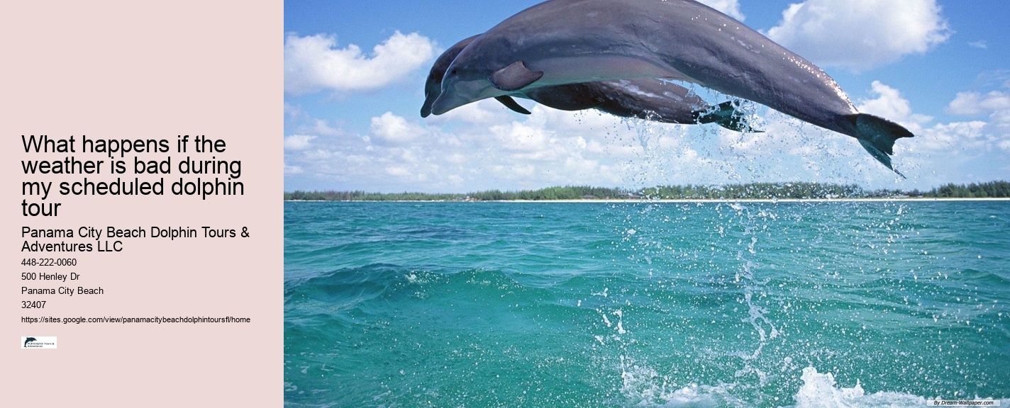 Dolphin Boat Tours Panama City Beach