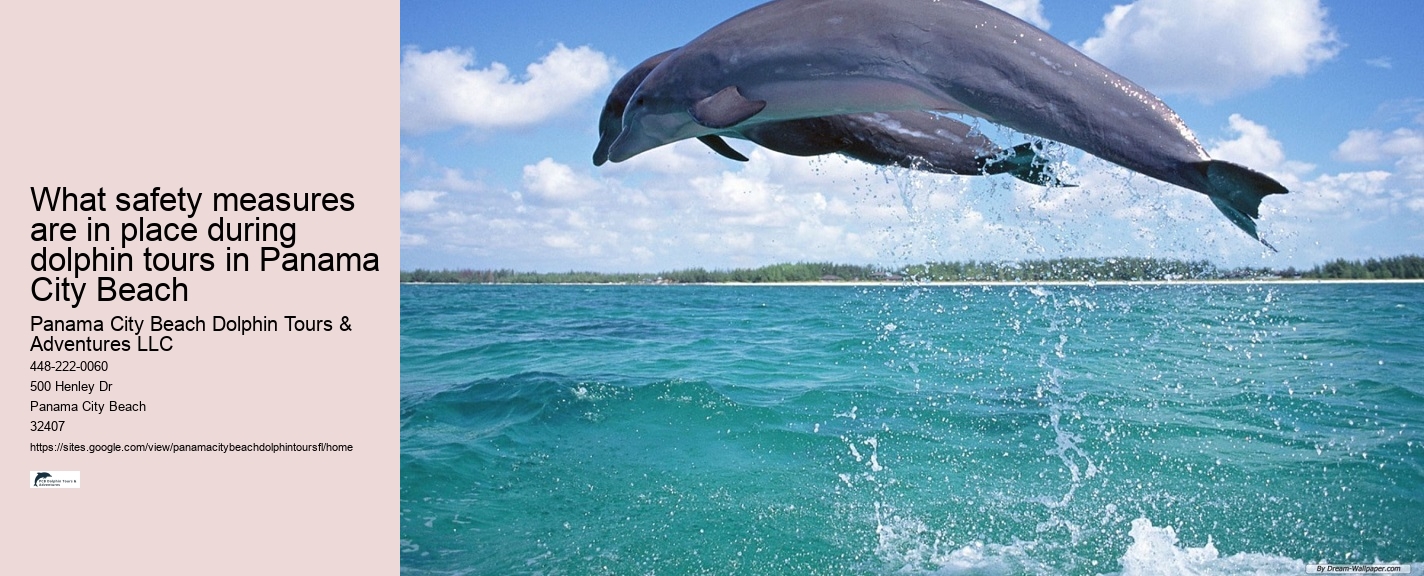 Dolphin Cruise Panama