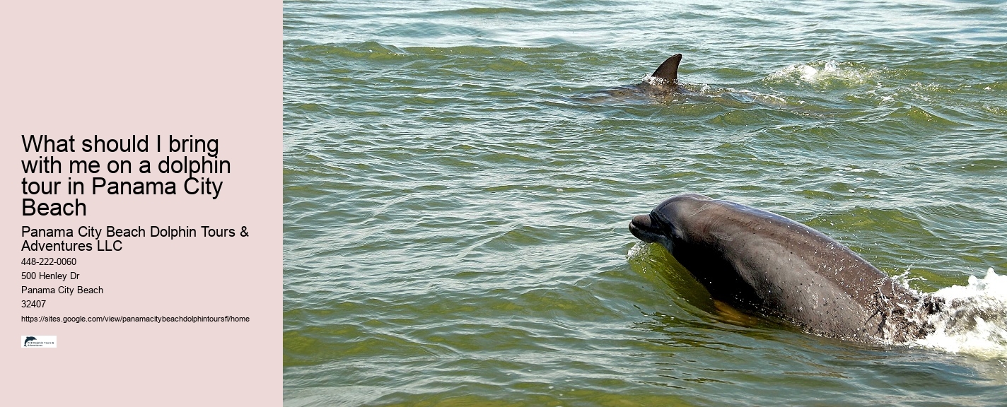 Panama City Beach Dolphin Adventure Cruises